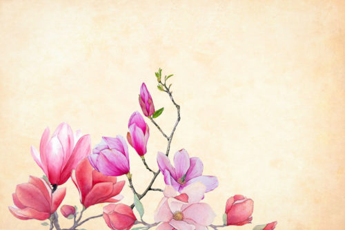 arrière plan décoratif - fleurs