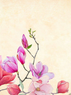 arrière plan décoratif - fleurs